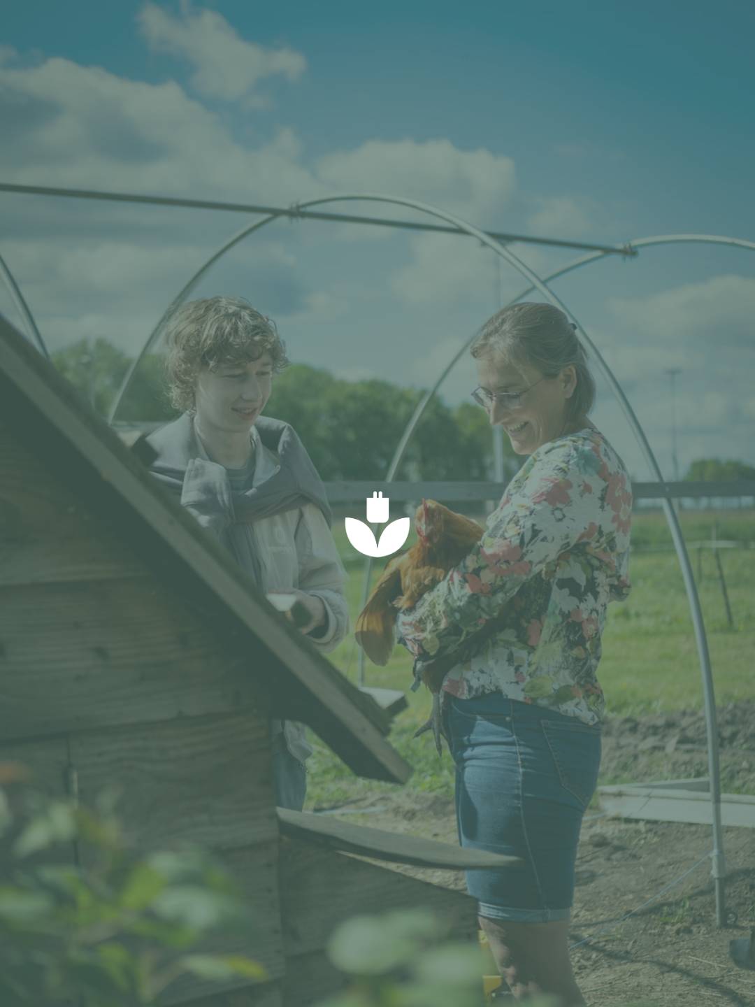 rafisch ontwerp en fotografie voor Natuurkrachtwerkt.nl door Justin Werkman, visuele identiteit en website uit Siddeburen, Groningen.